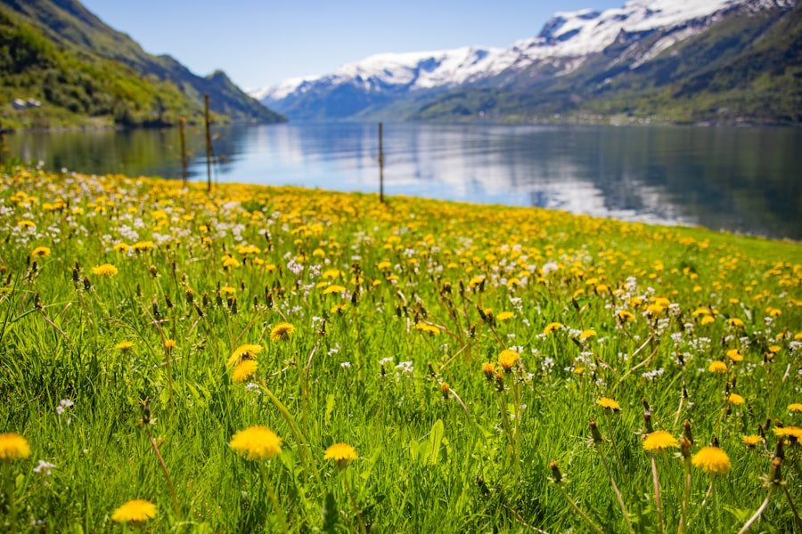 Norway spring
