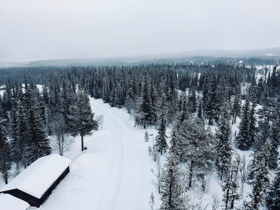 Photo Norwegian winter course