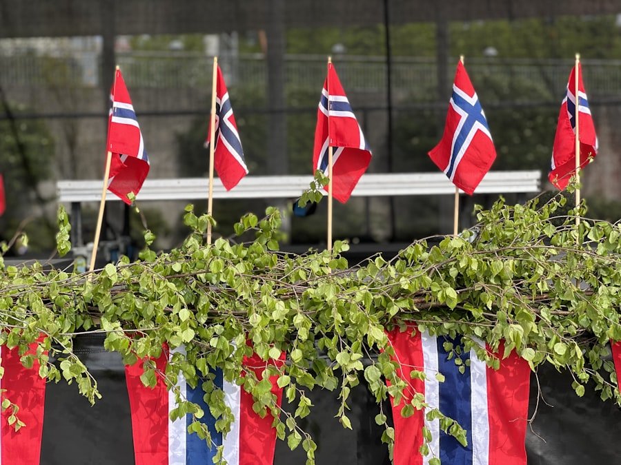norwegian flag
